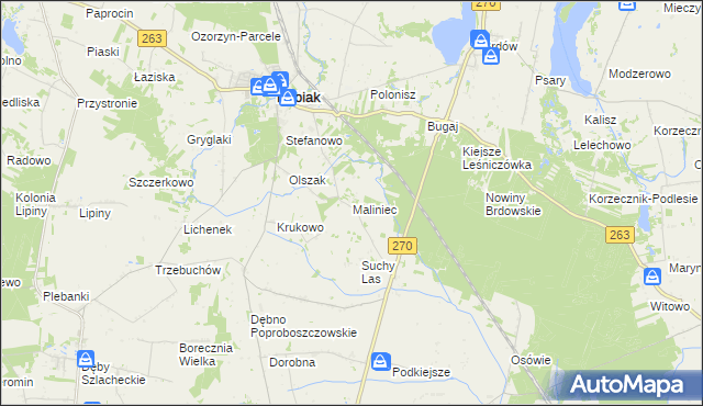 mapa Maliniec gmina Babiak, Maliniec gmina Babiak na mapie Targeo