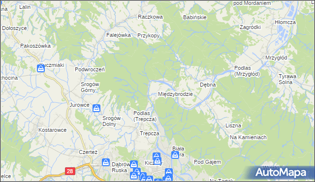 mapa Międzybrodzie, Międzybrodzie na mapie Targeo