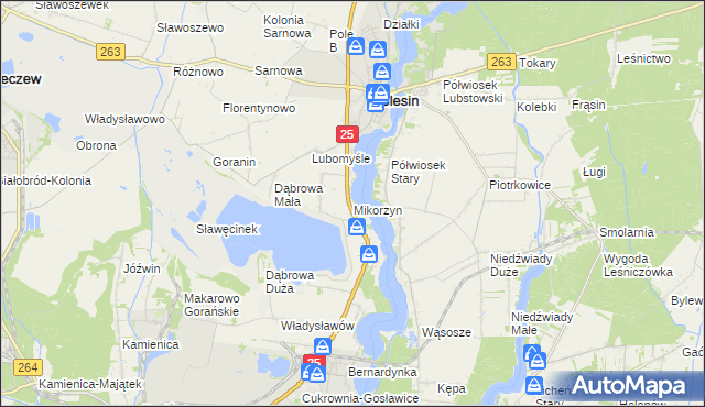 mapa Mikorzyn gmina Ślesin, Mikorzyn gmina Ślesin na mapie Targeo