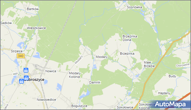 mapa Miodary gmina Dobroszyce, Miodary gmina Dobroszyce na mapie Targeo