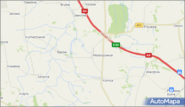 mapa Młodoszowice, Młodoszowice na mapie Targeo