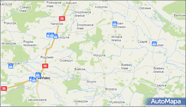 mapa Morzyna, Morzyna na mapie Targeo