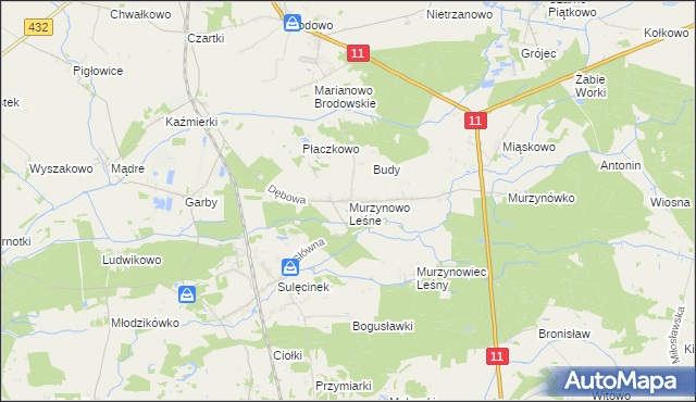 mapa Murzynowo Leśne, Murzynowo Leśne na mapie Targeo