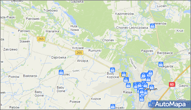 mapa Nagodów gmina Gostynin, Nagodów gmina Gostynin na mapie Targeo
