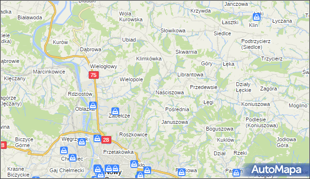 mapa Naściszowa, Naściszowa na mapie Targeo