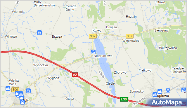 mapa Niepruszewo, Niepruszewo na mapie Targeo