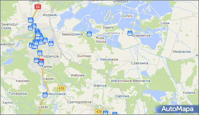 mapa Niesułowice gmina Milicz, Niesułowice gmina Milicz na mapie Targeo