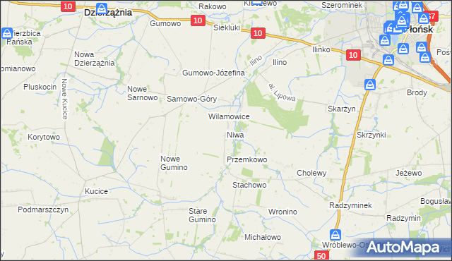 mapa Niwa gmina Dzierzążnia, Niwa gmina Dzierzążnia na mapie Targeo