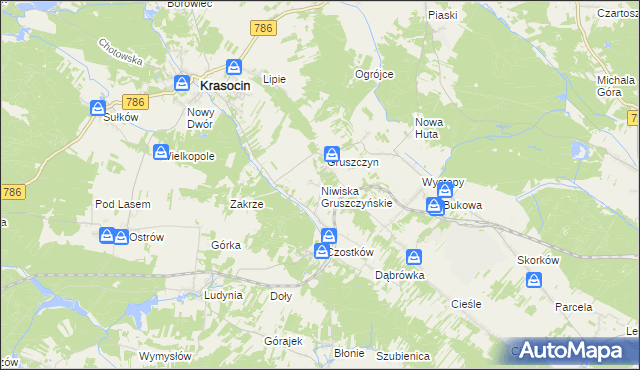 mapa Niwiska Gruszczyńskie, Niwiska Gruszczyńskie na mapie Targeo