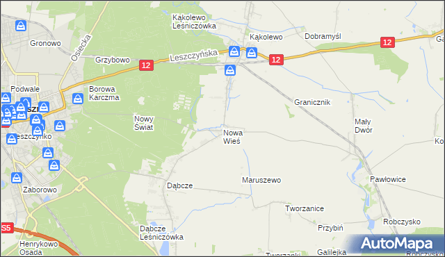 mapa Nowa Wieś gmina Rydzyna, Nowa Wieś gmina Rydzyna na mapie Targeo