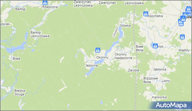 mapa Okoniny gmina Śliwice, Okoniny gmina Śliwice na mapie Targeo