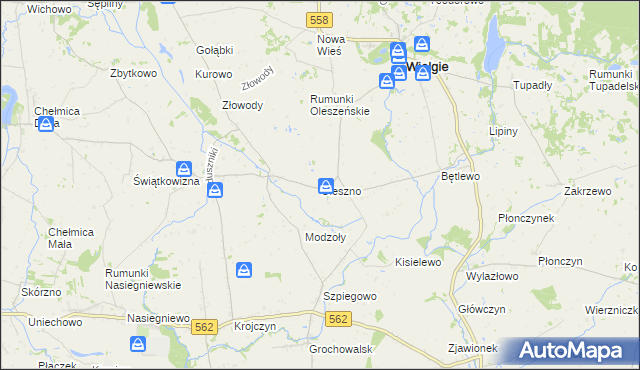 mapa Oleszno gmina Wielgie, Oleszno gmina Wielgie na mapie Targeo
