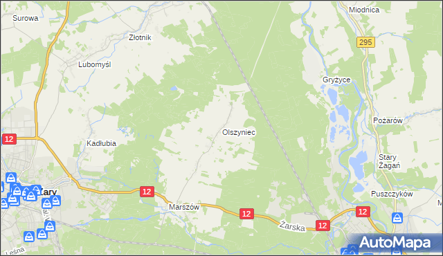 mapa Olszyniec gmina Żary, Olszyniec gmina Żary na mapie Targeo