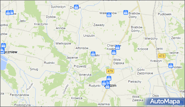 mapa Pałki gmina Zadzim, Pałki gmina Zadzim na mapie Targeo