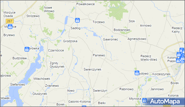 mapa Paniewo gmina Topólka, Paniewo gmina Topólka na mapie Targeo
