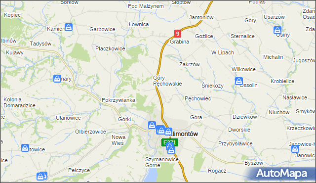 mapa Pęchów, Pęchów na mapie Targeo