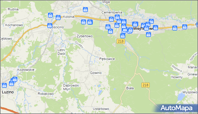 mapa Pętkowice gmina Wejherowo, Pętkowice gmina Wejherowo na mapie Targeo