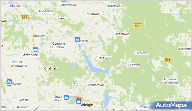 mapa Piaseczno gmina Wielgie, Piaseczno gmina Wielgie na mapie Targeo