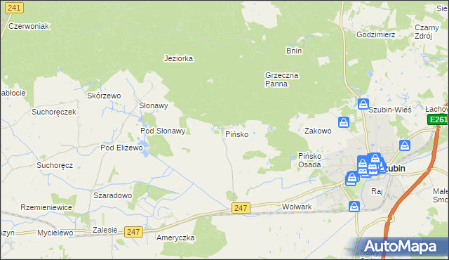 mapa Pińsko, Pińsko na mapie Targeo