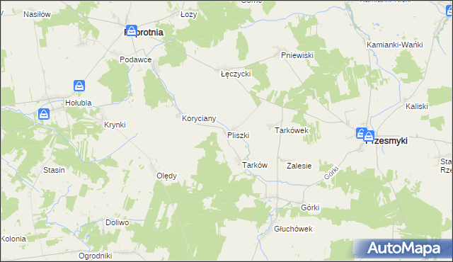 mapa Pliszki, Pliszki na mapie Targeo