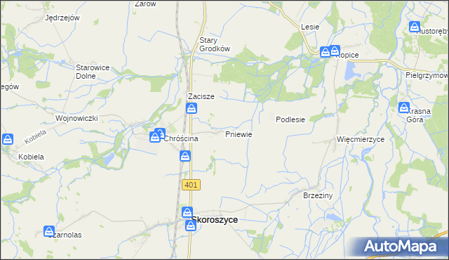 mapa Pniewie gmina Skoroszyce, Pniewie gmina Skoroszyce na mapie Targeo