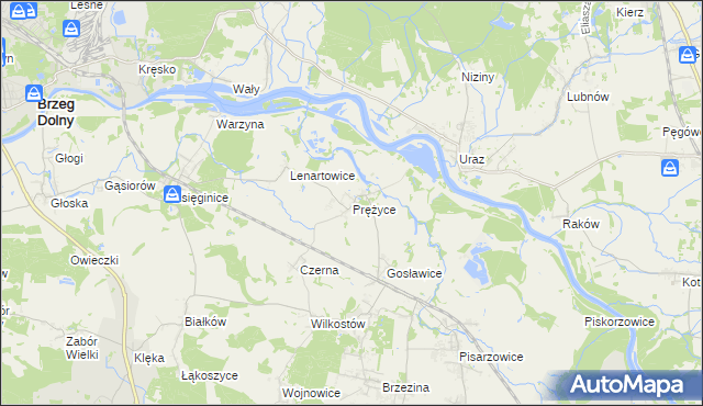 mapa Prężyce, Prężyce na mapie Targeo