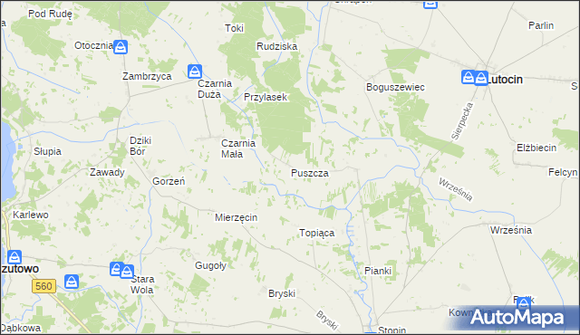 mapa Puszcza gmina Rościszewo, Puszcza gmina Rościszewo na mapie Targeo