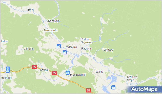 mapa Radunin, Radunin na mapie Targeo