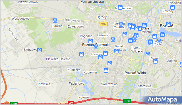 mapa Raszyn gmina Poznań, Raszyn gmina Poznań na mapie Targeo