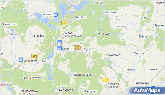 mapa Rejowiec gmina Skoki, Rejowiec gmina Skoki na mapie Targeo