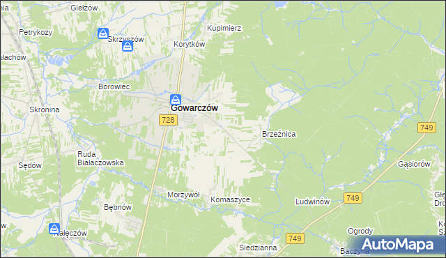 mapa Rogówek gmina Gowarczów, Rogówek gmina Gowarczów na mapie Targeo