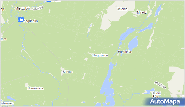 mapa Rogoźnica gmina Drawno, Rogoźnica gmina Drawno na mapie Targeo