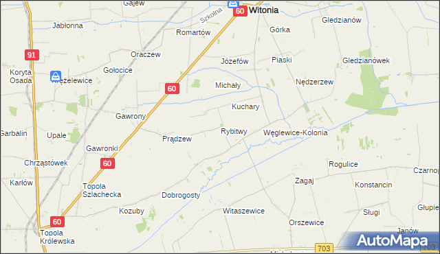 mapa Rybitwy gmina Witonia, Rybitwy gmina Witonia na mapie Targeo