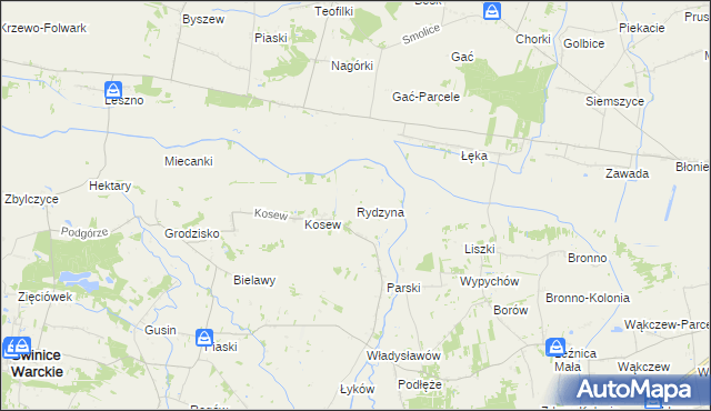 mapa Rydzyna gmina Świnice Warckie, Rydzyna gmina Świnice Warckie na mapie Targeo