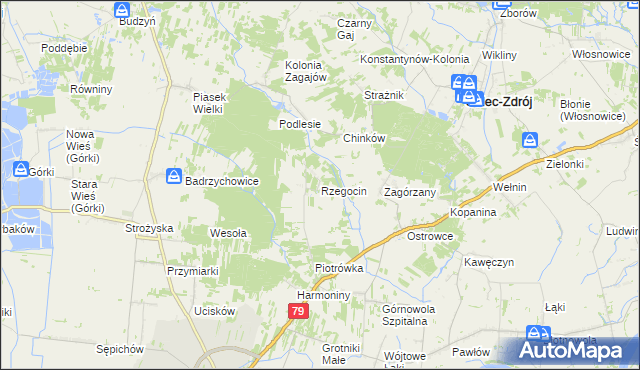 mapa Rzegocin gmina Nowy Korczyn, Rzegocin gmina Nowy Korczyn na mapie Targeo