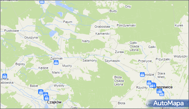 mapa Salamony gmina Brąszewice, Salamony gmina Brąszewice na mapie Targeo