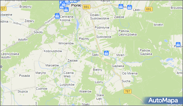 mapa Sałki gmina Pionki, Sałki gmina Pionki na mapie Targeo