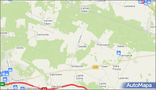 mapa Siedlec gmina Izbicko, Siedlec gmina Izbicko na mapie Targeo