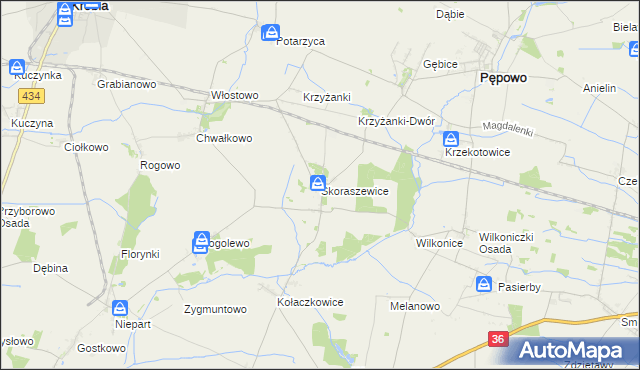 mapa Skoraszewice, Skoraszewice na mapie Targeo