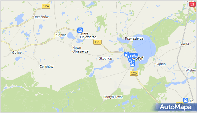 mapa Skotnica gmina Moryń, Skotnica gmina Moryń na mapie Targeo