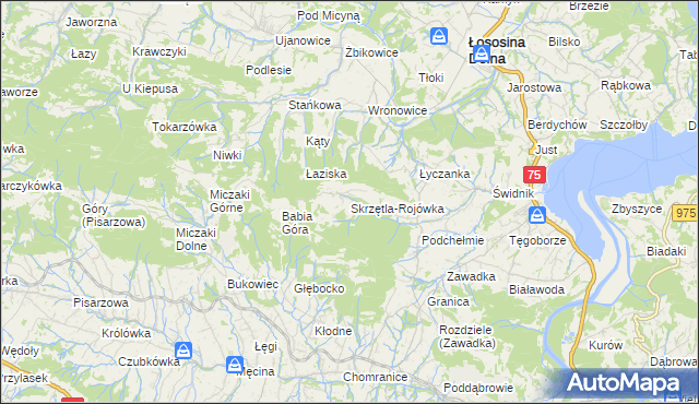 mapa Skrzętla-Rojówka, Skrzętla-Rojówka na mapie Targeo