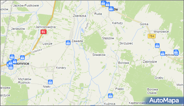 mapa Śliwaków, Śliwaków na mapie Targeo