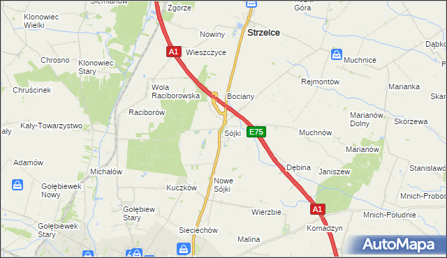 mapa Sójki gmina Strzelce, Sójki gmina Strzelce na mapie Targeo