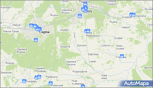 mapa Sokolnik gmina Mrozy, Sokolnik gmina Mrozy na mapie Targeo