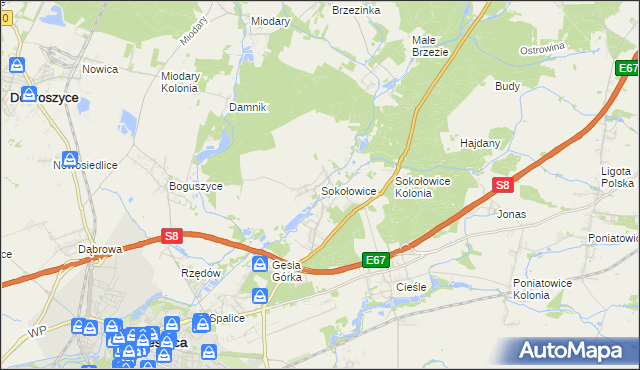 mapa Sokołowice gmina Oleśnica, Sokołowice gmina Oleśnica na mapie Targeo