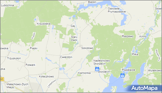 mapa Sokołowo gmina Witkowo, Sokołowo gmina Witkowo na mapie Targeo