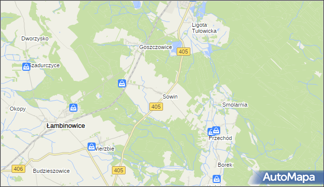 mapa Sowin gmina Łambinowice, Sowin gmina Łambinowice na mapie Targeo