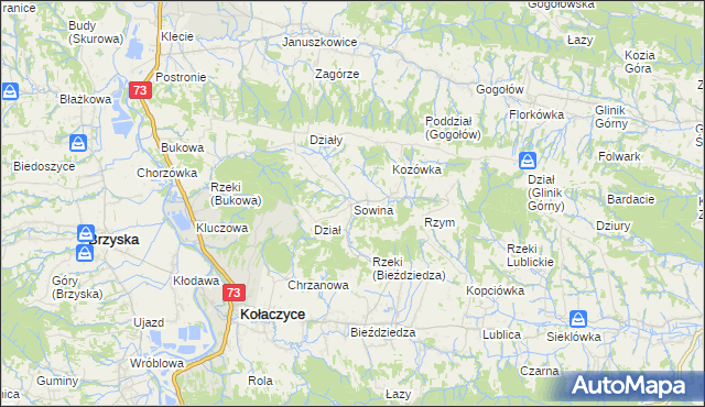 mapa Sowina gmina Kołaczyce, Sowina gmina Kołaczyce na mapie Targeo