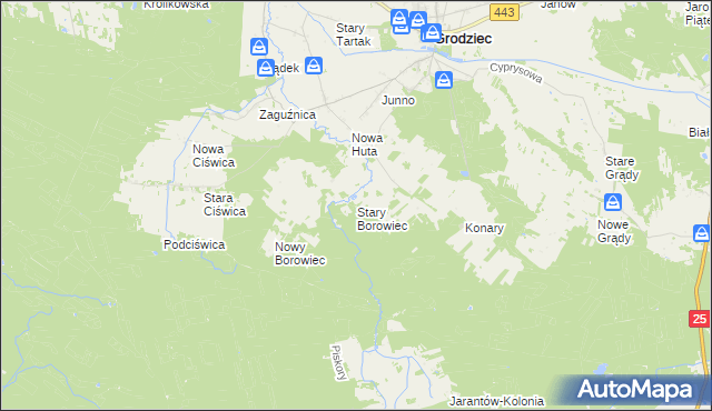 mapa Stary Borowiec, Stary Borowiec na mapie Targeo