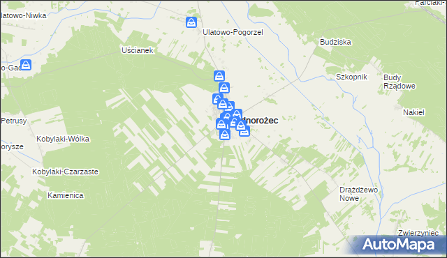 mapa Stegna gmina Jednorożec, Stegna gmina Jednorożec na mapie Targeo